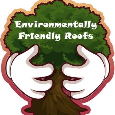 Tips For Making Your Roof More Environmentally Friendly