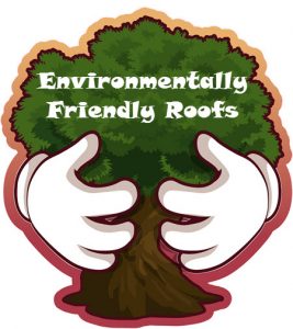 environmentally freindly roofs