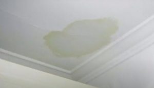 roof ceiling stain
